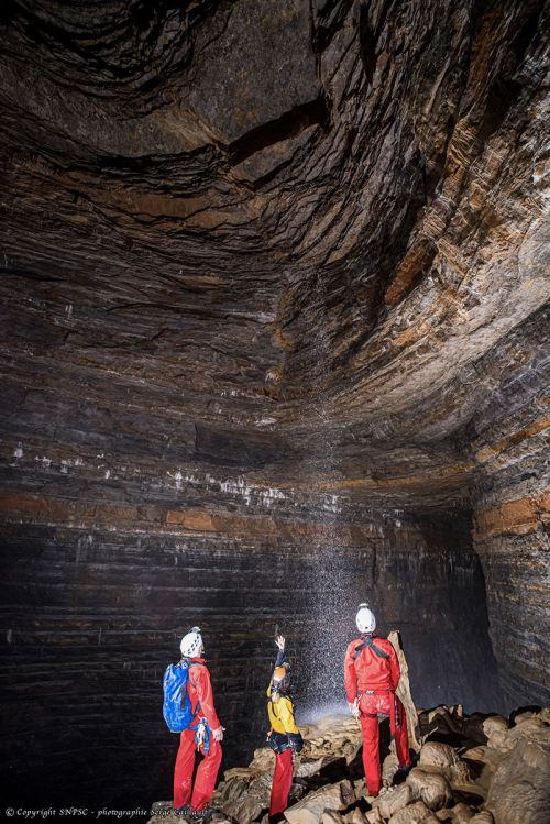 Mycorhize d'un mat d'escalade en bois ©Etienne Fabre